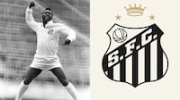 Relembre as conquistas continentais de Botafogo e Chapecoense neste século