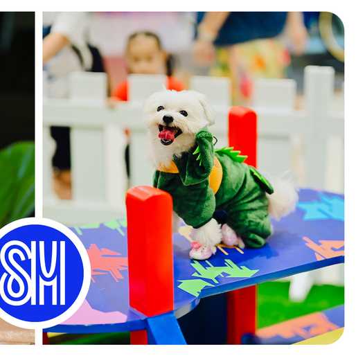 SM paw parks, pet changing stations: Hanna Carinna Sy wants your fur baby at the mall