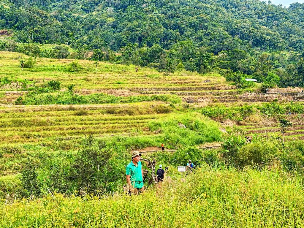 Quando as terraços de arroz dos Ifugao descansam