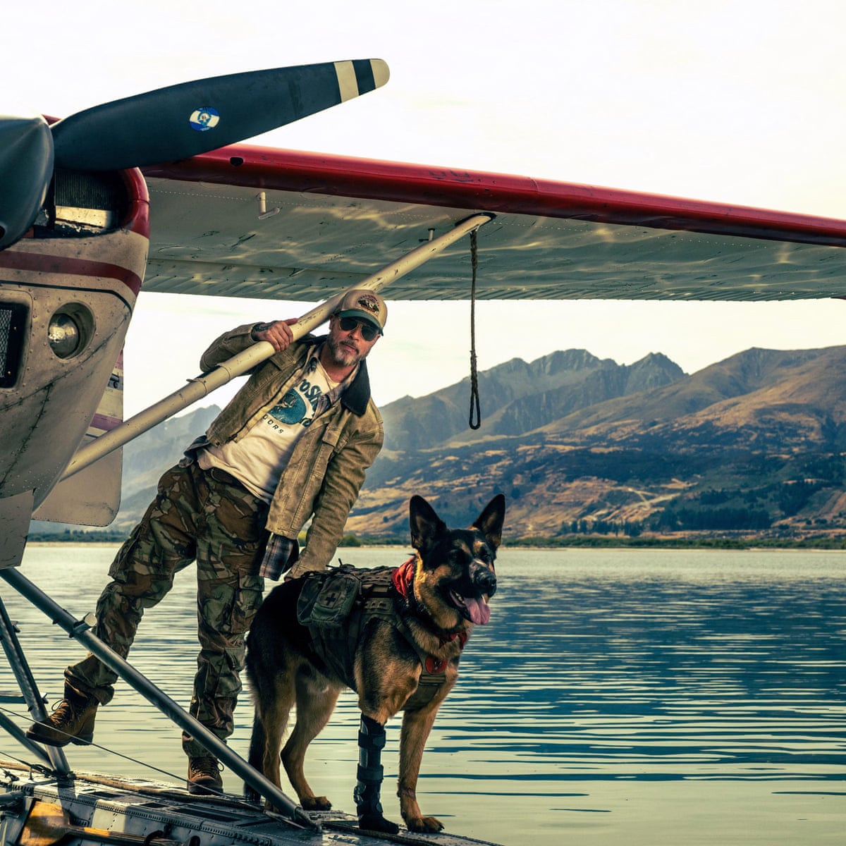 Pedigree chums: por que os cães estão morrendo menos nos filmes