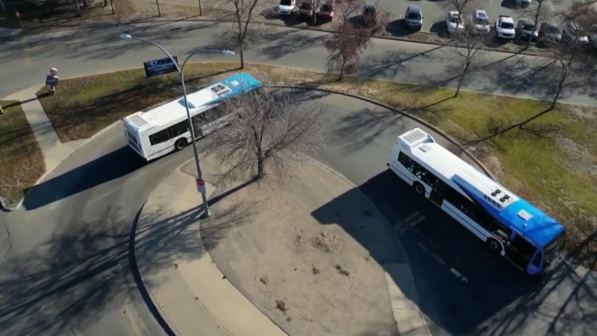 346 people removed from Saskatoon buses for unpaid fares during first month of transit safety program