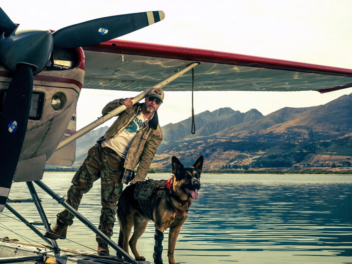 Pedigree chums: por que os cães estão morrendo menos nos filmes