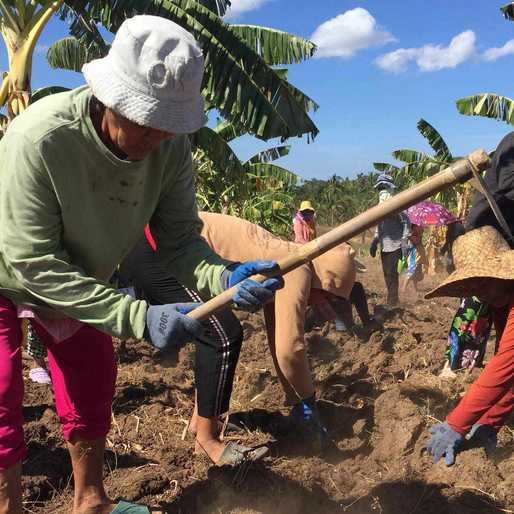 A decade later, threat of Kidapawan unrest looms again as El Niño ravages farms