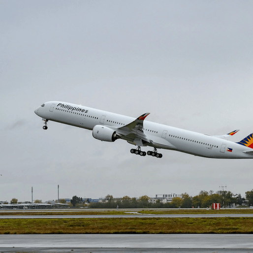 Your cat or dog can now fly with you on Philippine Airlines domestic flights