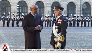 Singapore and Sweden to expand cooperation in emerging tech, sustainable energy