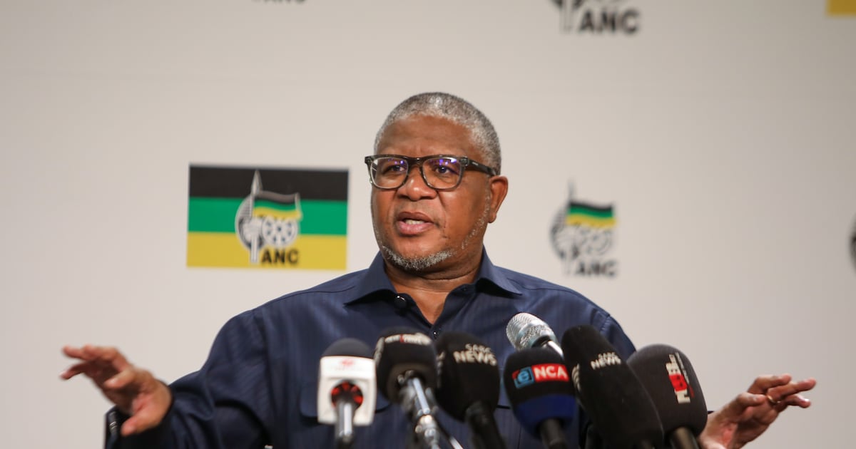 'MySol é um empreendedor sólido': Mbalula interveém enquanto Malema e o magnata da mineração se enfrentam