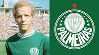 Relembre as conquistas continentais de Botafogo e Chapecoense neste século