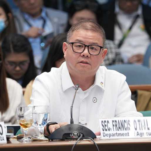 Tiu Laurel alleges smear campaign by rice smugglers amid import controversy